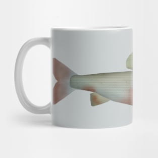 Mongolian Grayling Mug